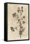 Floral Earthtone Three-Jace Grey-Framed Stretched Canvas