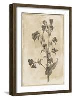 Floral Earthtone Three-Jace Grey-Framed Art Print