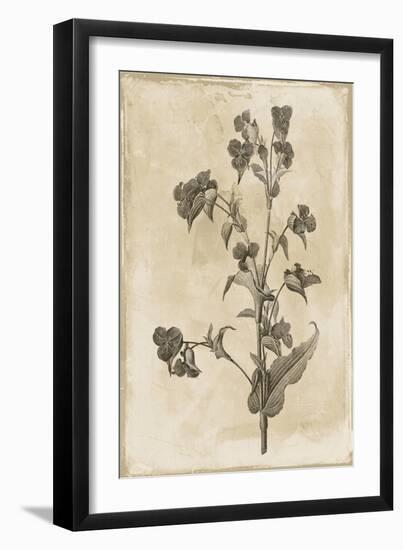 Floral Earthtone Three-Jace Grey-Framed Art Print