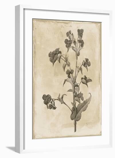 Floral Earthtone Three-Jace Grey-Framed Art Print