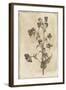 Floral Earthtone Three-Jace Grey-Framed Art Print