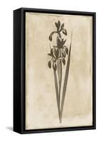 Floral Earthtone Two-Jace Grey-Framed Stretched Canvas