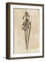 Floral Earthtone Two-Jace Grey-Framed Art Print