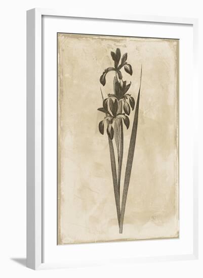 Floral Earthtone Two-Jace Grey-Framed Art Print