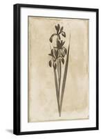 Floral Earthtone Two-Jace Grey-Framed Art Print