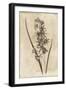 Floral Earthtone-Jace Grey-Framed Art Print