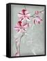 Floral Echo I-Vanna Lam-Framed Stretched Canvas