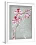 Floral Echo I-Vanna Lam-Framed Art Print