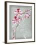 Floral Echo I-Vanna Lam-Framed Art Print