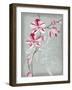 Floral Echo I-Vanna Lam-Framed Art Print