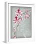 Floral Echo I-Vanna Lam-Framed Art Print