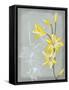 Floral Echo II-Vanna Lam-Framed Stretched Canvas