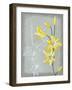 Floral Echo II-Vanna Lam-Framed Art Print