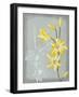 Floral Echo II-Vanna Lam-Framed Art Print