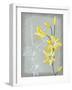 Floral Echo II-Vanna Lam-Framed Art Print