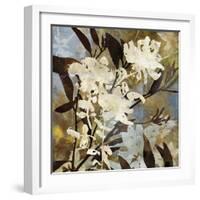 Floral Eclipse I-Paul Duncan-Framed Giclee Print