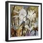Floral Eclipse II-Paul Duncan-Framed Giclee Print