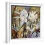 Floral Eclipse II-Paul Duncan-Framed Giclee Print