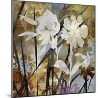 Floral Eclipse II-Paul Duncan-Mounted Giclee Print