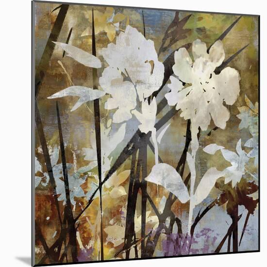 Floral Eclipse II-Paul Duncan-Mounted Giclee Print