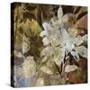 Floral Eclipse IV-Paul Duncan-Stretched Canvas