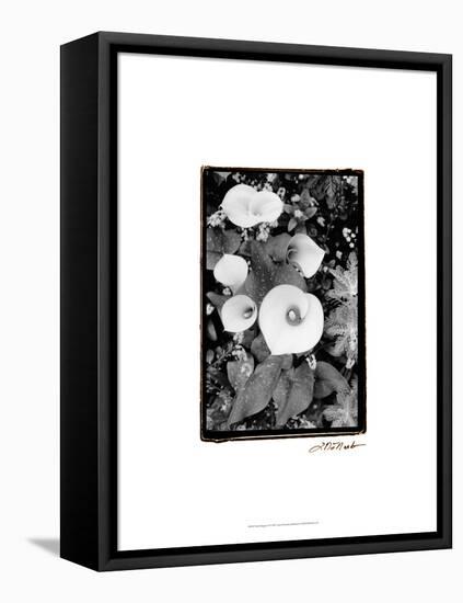 Floral Elegance II-Laura Denardo-Framed Stretched Canvas