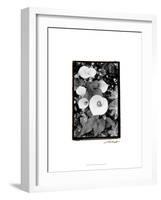 Floral Elegance II-Laura Denardo-Framed Art Print