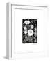 Floral Elegance II-Laura Denardo-Framed Art Print