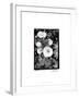 Floral Elegance II-Laura Denardo-Framed Art Print