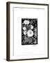 Floral Elegance II-Laura Denardo-Framed Art Print