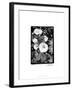 Floral Elegance II-Laura Denardo-Framed Art Print