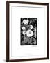 Floral Elegance II-Laura Denardo-Framed Art Print