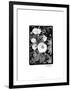 Floral Elegance II-Laura Denardo-Framed Art Print