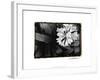 Floral Elegance IV-Laura Denardo-Framed Art Print