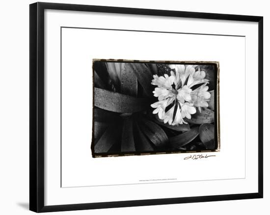 Floral Elegance IV-Laura Denardo-Framed Art Print