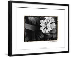 Floral Elegance IV-Laura Denardo-Framed Art Print