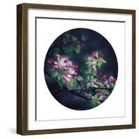 Floral Elegance - Sphere-Irene Suchocki-Framed Giclee Print