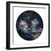 Floral Elegance - Sphere-Irene Suchocki-Framed Giclee Print