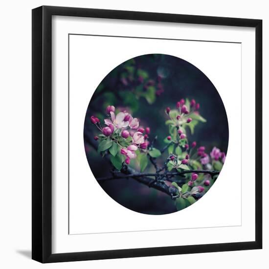 Floral Elegance - Sphere-Irene Suchocki-Framed Giclee Print