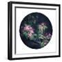 Floral Elegance - Sphere-Irene Suchocki-Framed Giclee Print