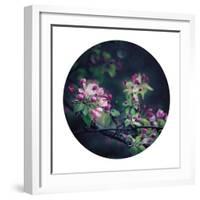 Floral Elegance - Sphere-Irene Suchocki-Framed Giclee Print