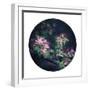 Floral Elegance - Sphere-Irene Suchocki-Framed Giclee Print