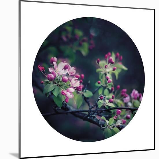 Floral Elegance - Sphere-Irene Suchocki-Mounted Giclee Print