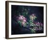 Floral Elegance-Irene Suchocki-Framed Giclee Print