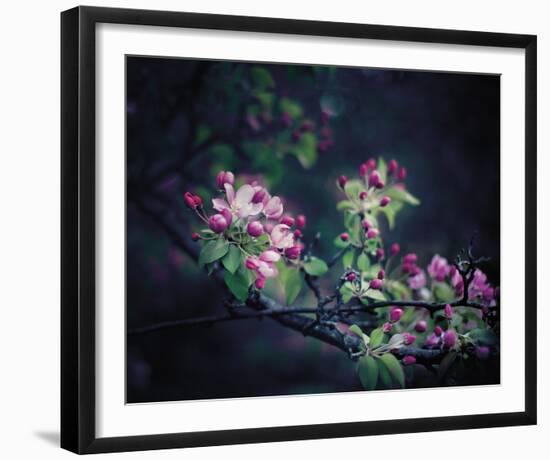 Floral Elegance-Irene Suchocki-Framed Giclee Print