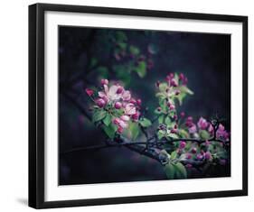 Floral Elegance-Irene Suchocki-Framed Giclee Print