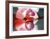 Floral Elements 10-Florence Delva-Framed Giclee Print