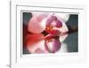 Floral Elements 10-Florence Delva-Framed Giclee Print