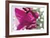 Floral Elements 12-Florence Delva-Framed Giclee Print