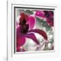 Floral Elements 13-Florence Delva-Framed Giclee Print